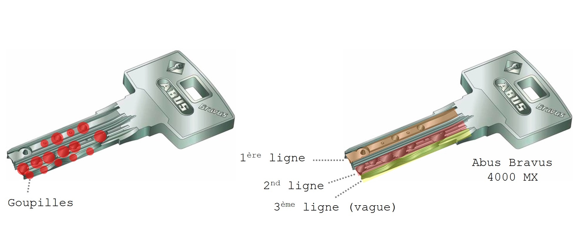 cle-abus-bravus-4000-mx