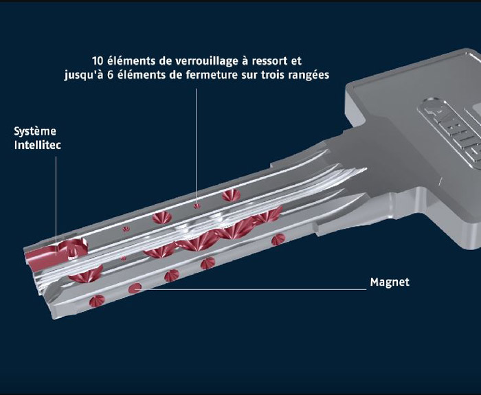 cle abus mx magnet