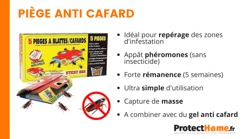 pièges anti cafard