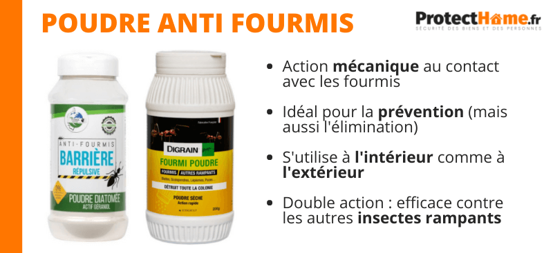 poudre anti fourmis