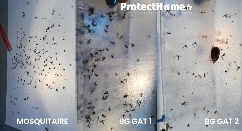 anti moustique efficace test biogents