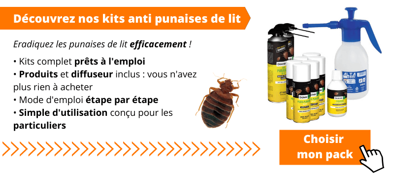 eradiquer les punaises de lit
