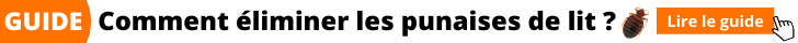 comment se débarrasser des punaises de lit ?