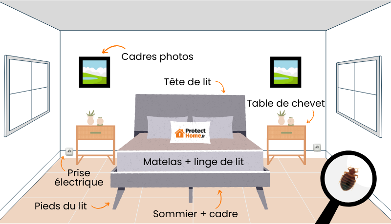 Où trouver les punaises de lit dans une chambre ?