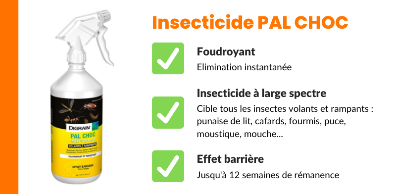 insecticide punaise de lit 