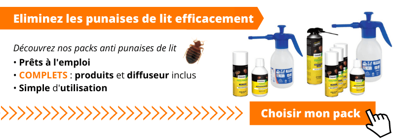 puce de lit trairement