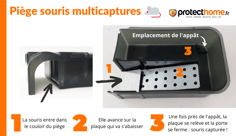 fonctionnement attrape souris