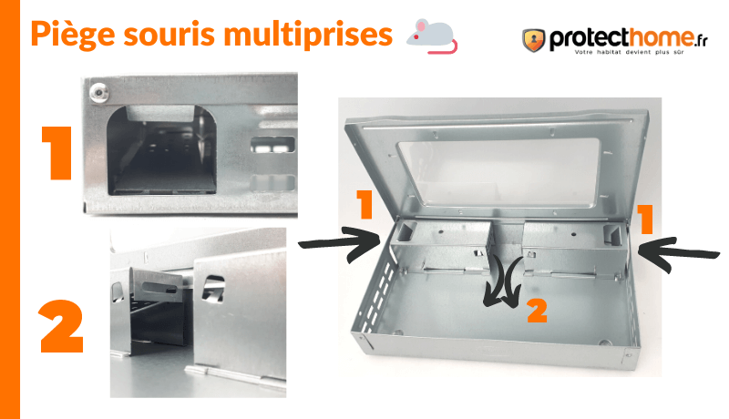 piege souris multiprises fonctionnement