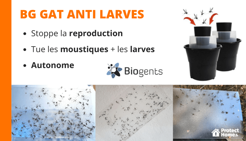 test piege moustique larve de moustique BG GAT Biogents