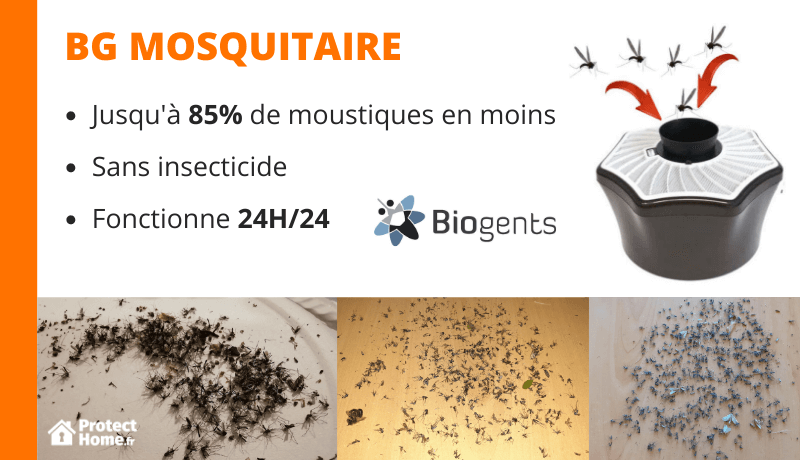 test piege moustique mosquitaire biogents