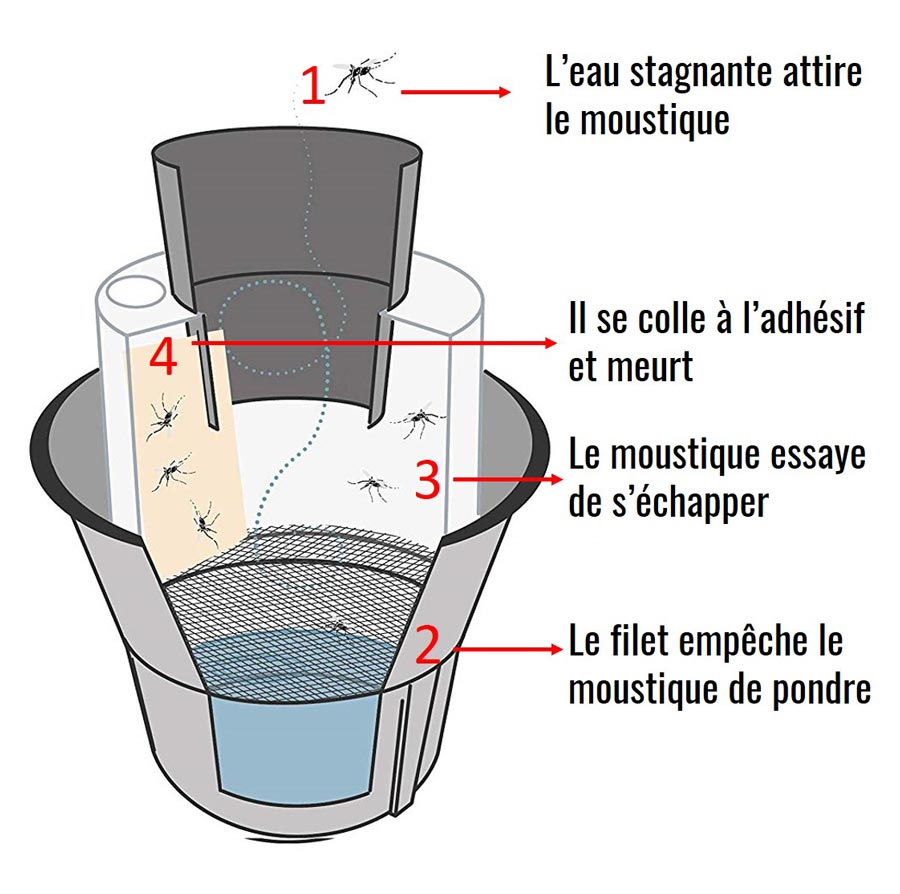 biogents piege larve anti moustique