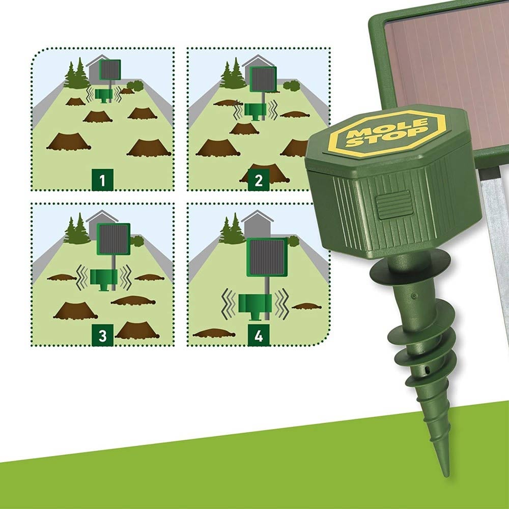 Repulsif taupe solaire explication ultrason